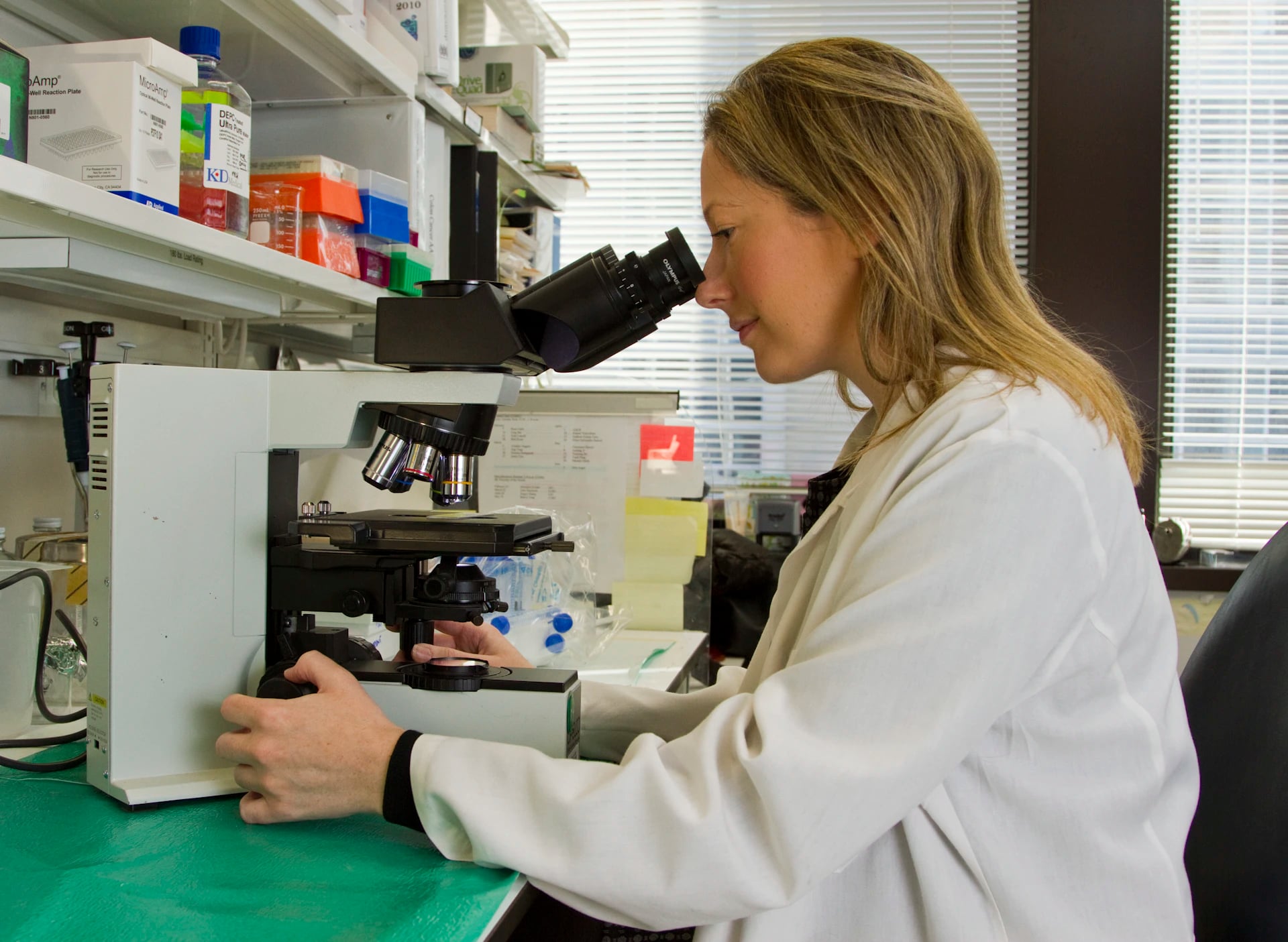 A scientist looking through a microscope in a laboratory