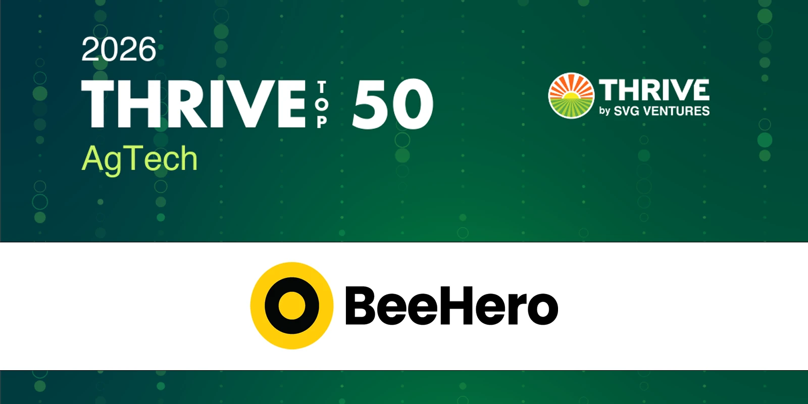 BeeHero website image
