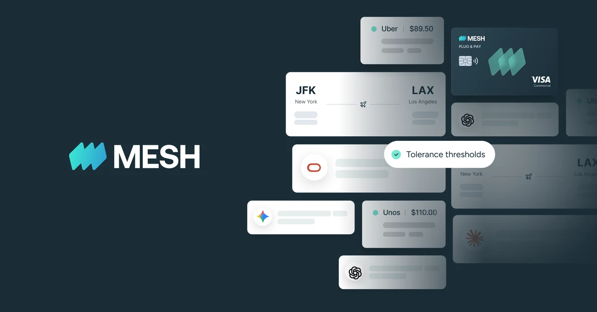 Mesh Payments website image