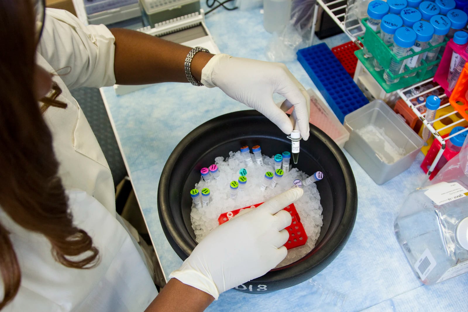 A laboratory researcher preparing genetic samples