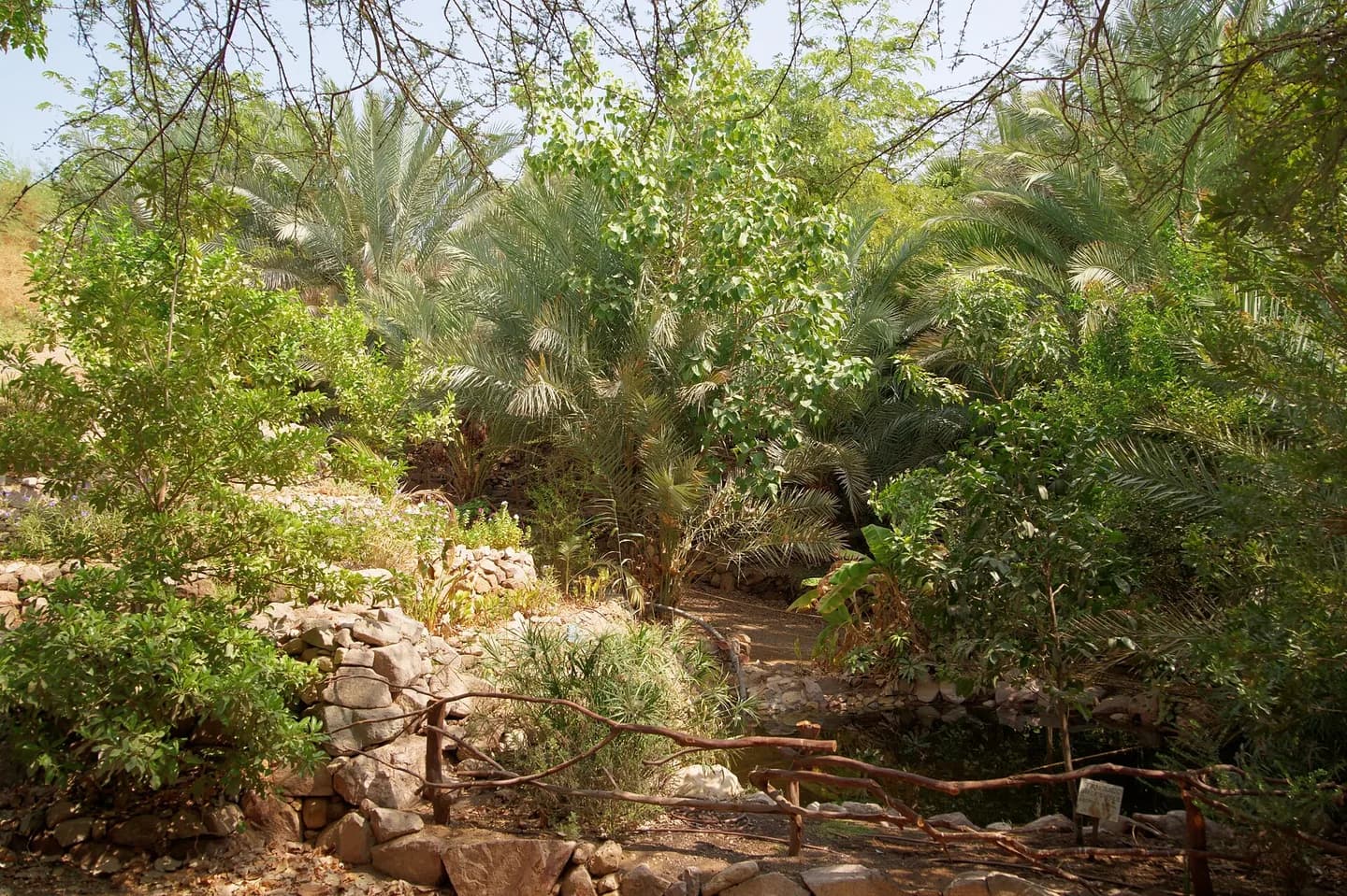 Eilat Botanical Garden