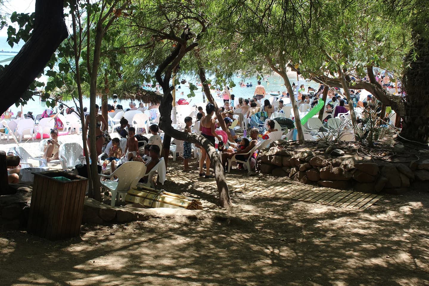 The shoreline at Dolphin Reef in Eilat
