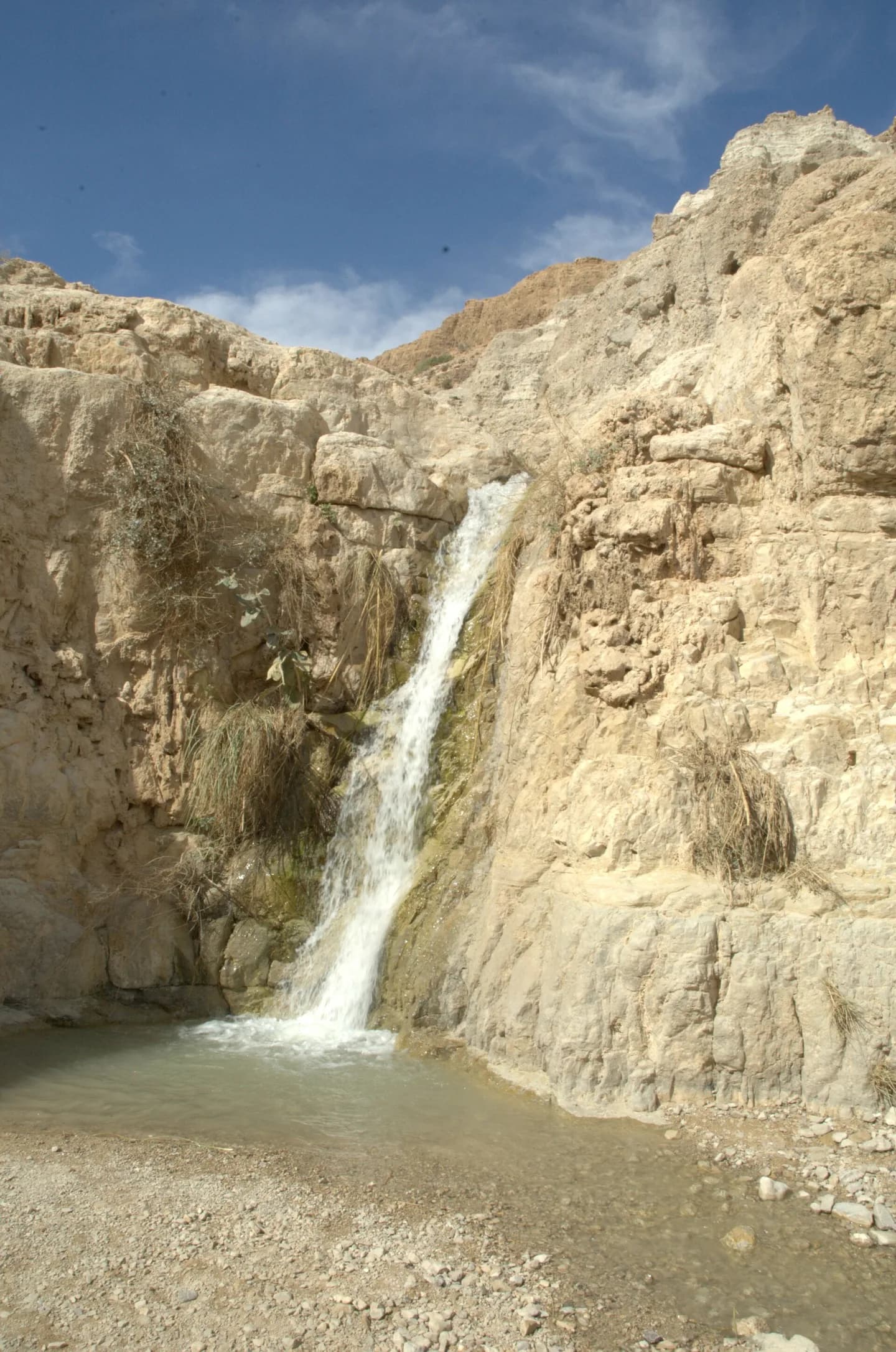 شلال في محمية عين جدي