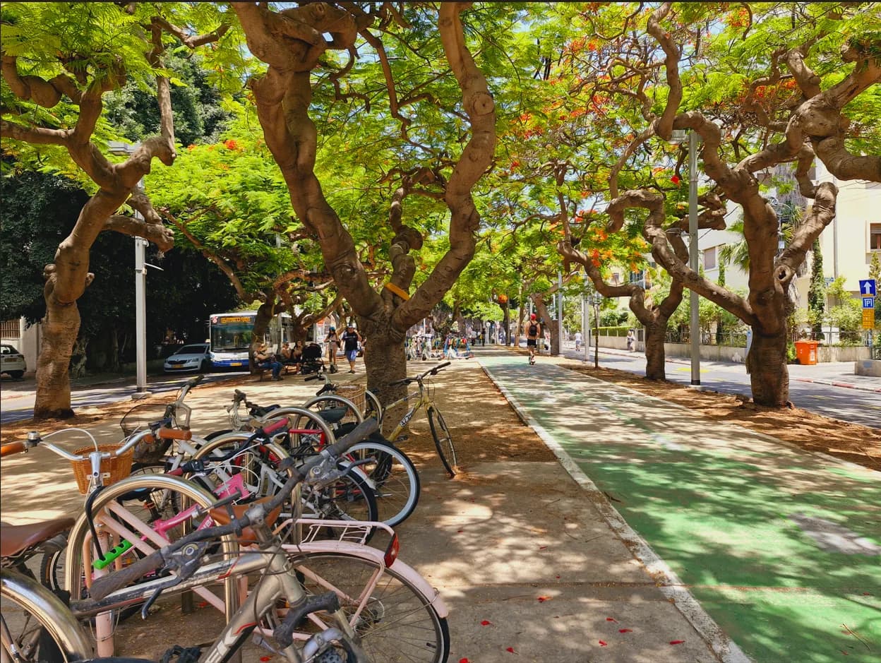 Rothschild Boulevard in Tel Aviv