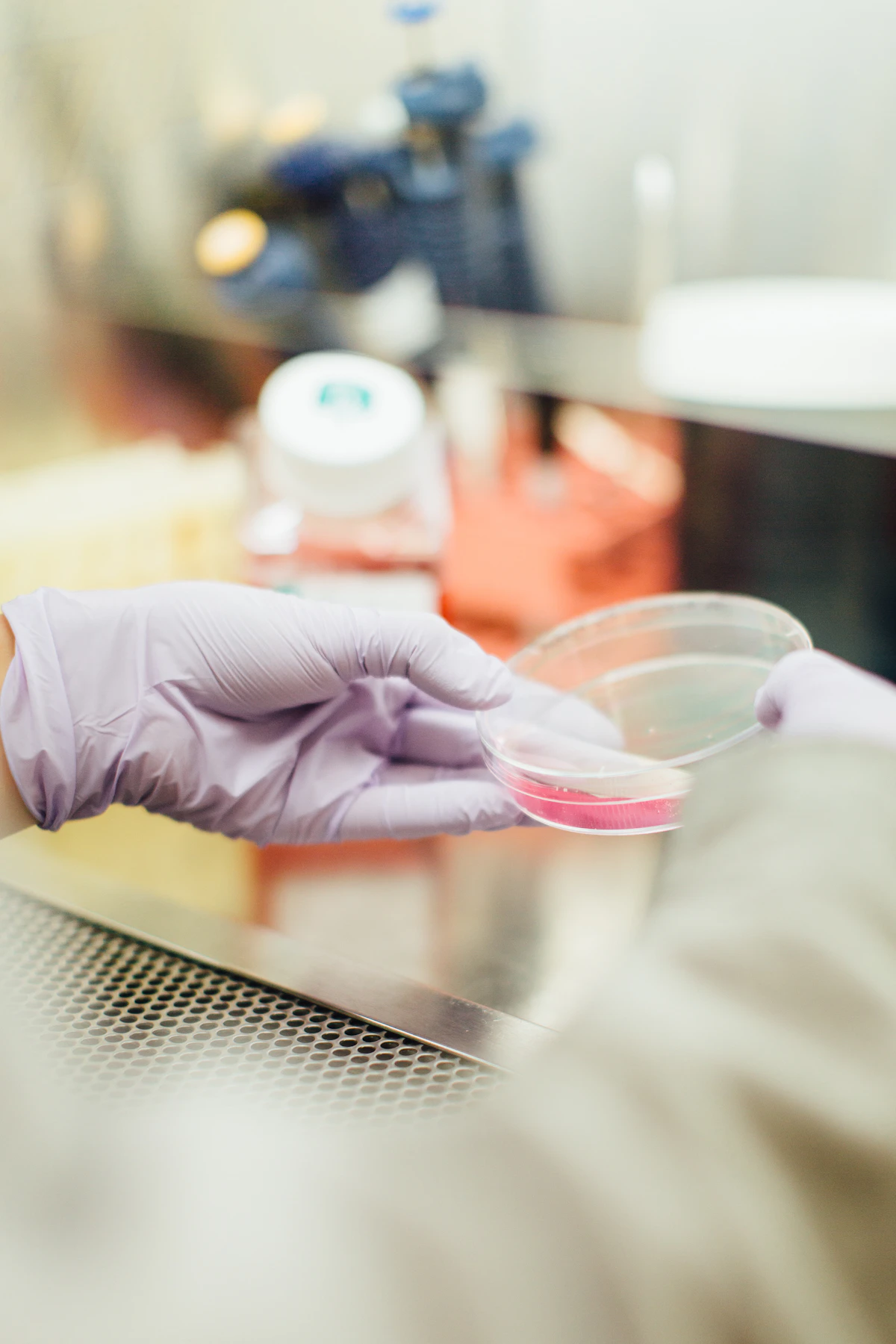 A researcher holding a Petri dish