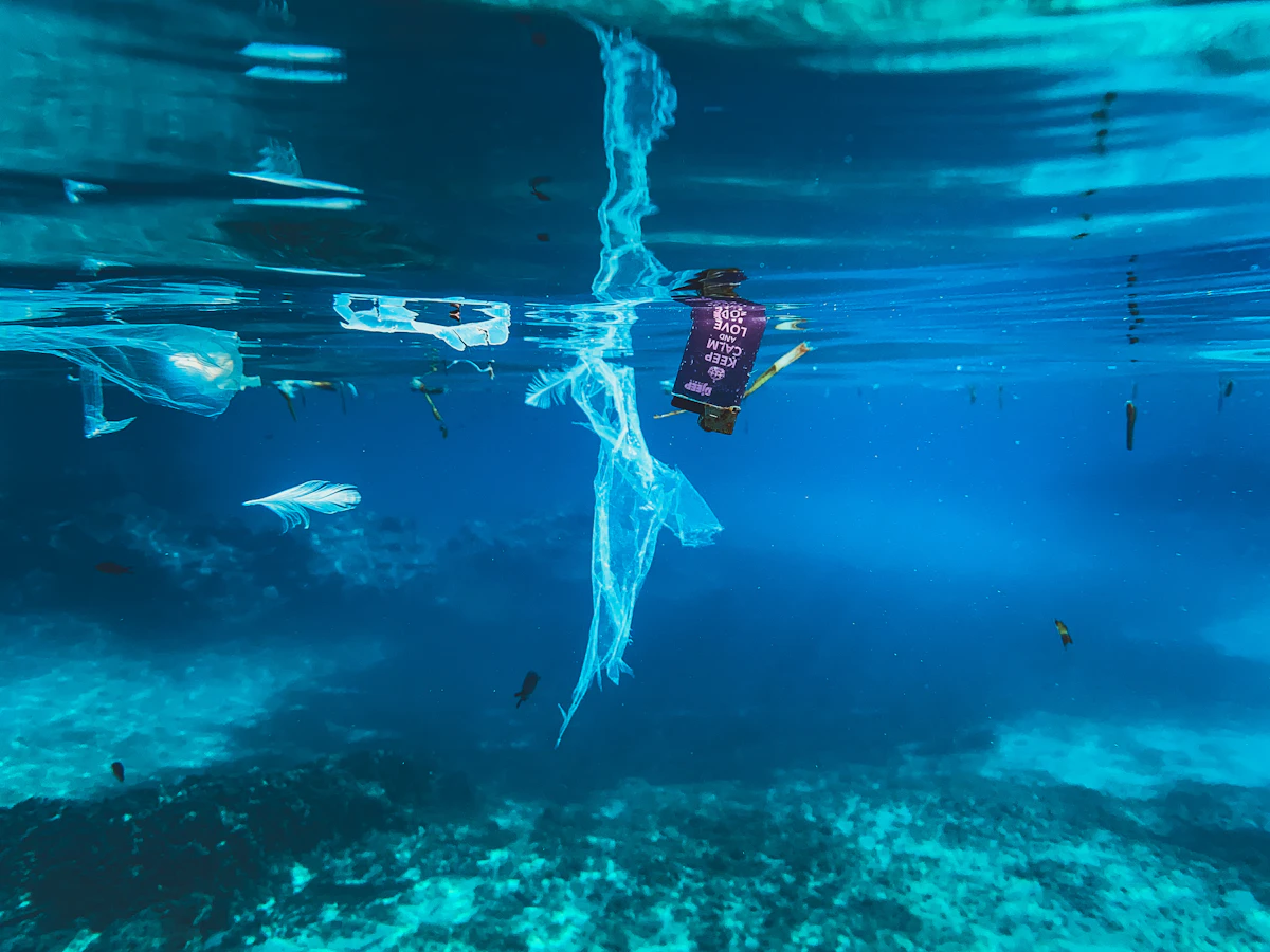 Plastic waste floating in the Mediterranean Sea
