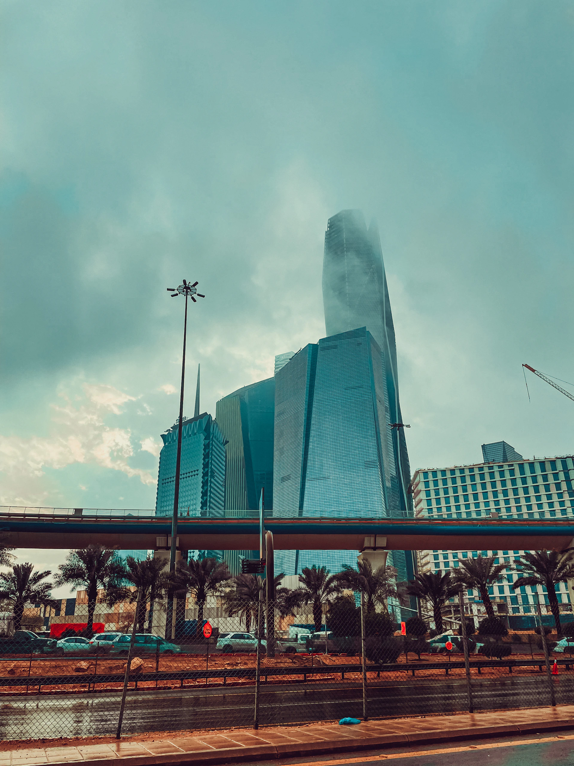أفق الرياض وأشجار النخيل
